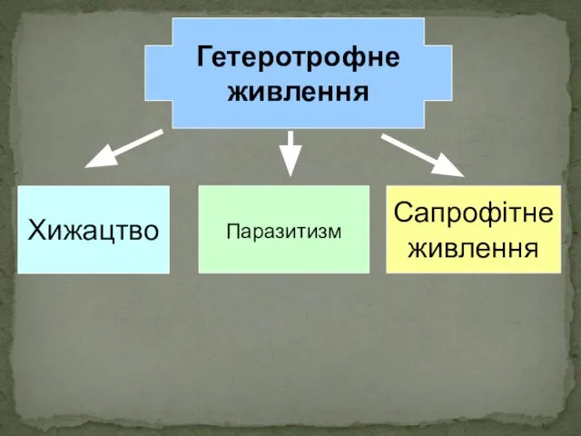 Паразитизм Гетеротрофне живлення Хижацтво Сапрофітне живлення