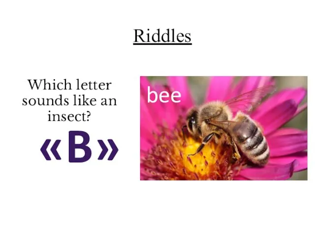 Riddles Which letter sounds like an insect? «B» bee