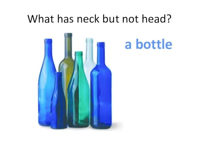 What has neck but not head?