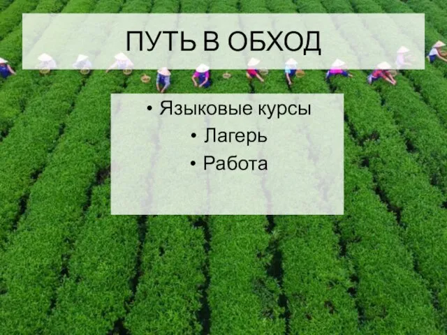 ПУТЬ В ОБХОД Языковые курсы Лагерь Работа