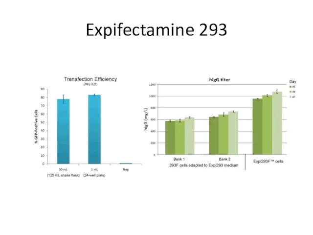 Expifectamine 293