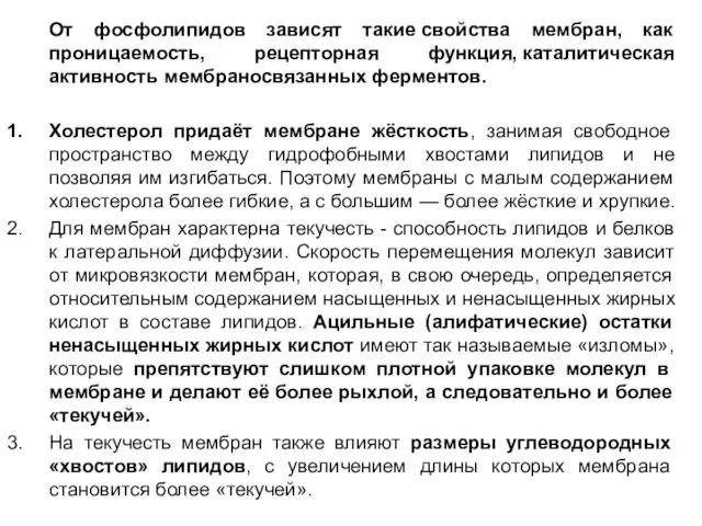 От фосфолипидов зависят такие свойства мембран, как проницаемость, рецепторная функция, каталитическая