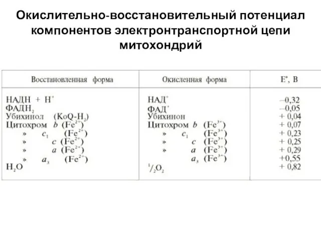 Окислительно-восстановительный потенциал компонентов электронтранспортной цепи митохондрий