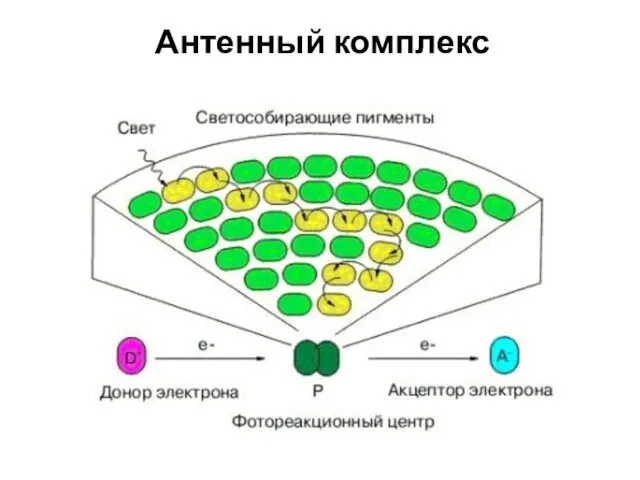 Антенный комплекс