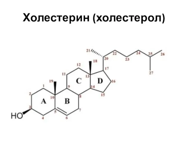 Холестерин (холестерол)