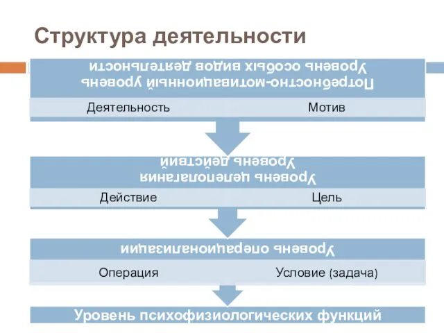 Структура деятельности