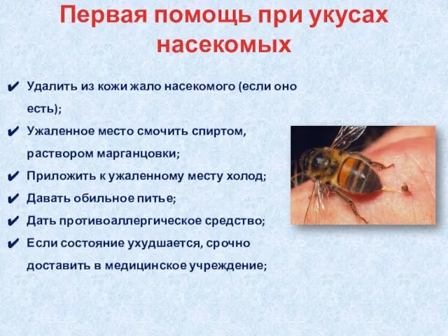 Первая помощь при укусах насекомых Удалить из кожи жало насекомого (если