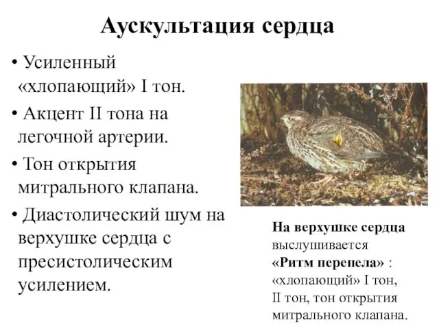 Аускультация сердца Усиленный «хлопающий» I тон. Акцент II тона на легочной