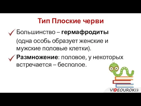 Большинство – гермафродиты (одна особь образует женские и мужские половые клетки).