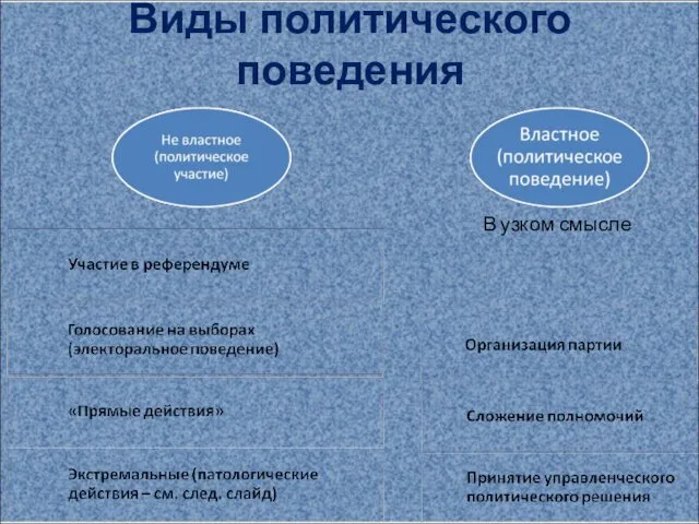 Виды политического поведения В узком смысле