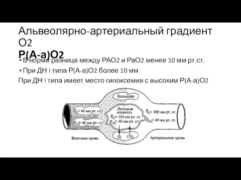 Альвеолярно-артериальный градиент О2 Р(А-а)О2 В норме разница между РАО2 и РаО2