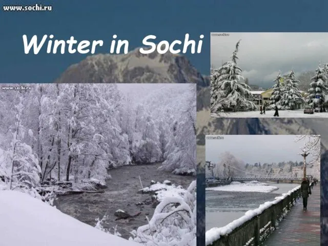 Winter in Sochi