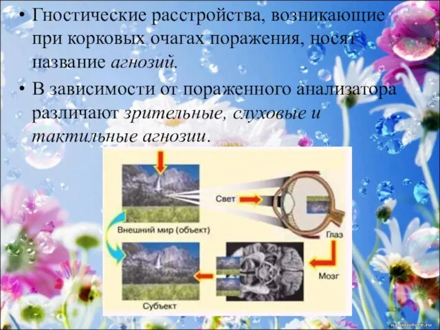 Гностические расстройства, возникающие при корковых очагах поражения, носят название агнозий. В