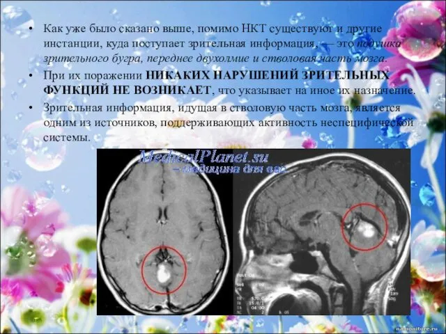 Как уже было сказано выше, помимо НКТ существуют и другие инстанции,