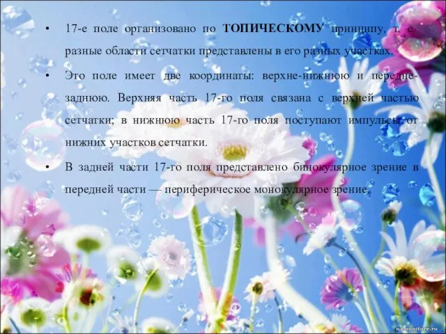 17-е поле организовано по ТОПИЧЕСКОМУ принципу, т. е. разные области сетчатки