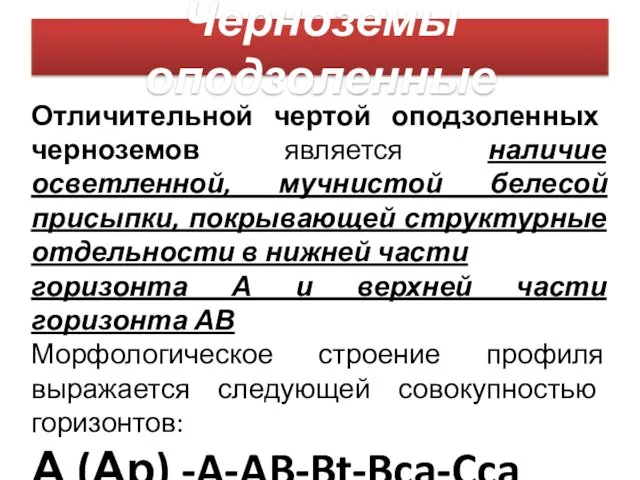 Черноземы оподзоленные Отличительной чертой оподзоленных черноземов является наличие осветленной, мучнистой белесой