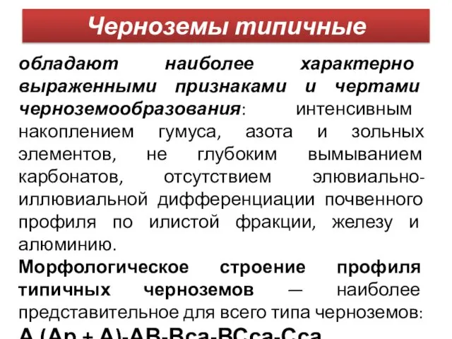 Черноземы типичные обладают наиболее характерно выраженными признаками и чертами черноземообразования: интенсивным