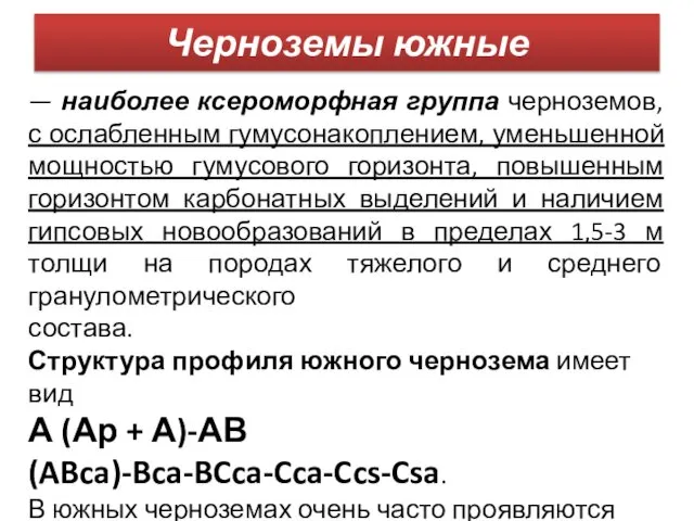 Черноземы южные — наиболее ксероморфная группа черноземов, с ослабленным гумусонакоплением, уменьшенной