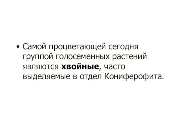 Самой процветающей сегодня группой голосеменных растений являются хвойные, часто выделяемые в отдел Кониферофита.