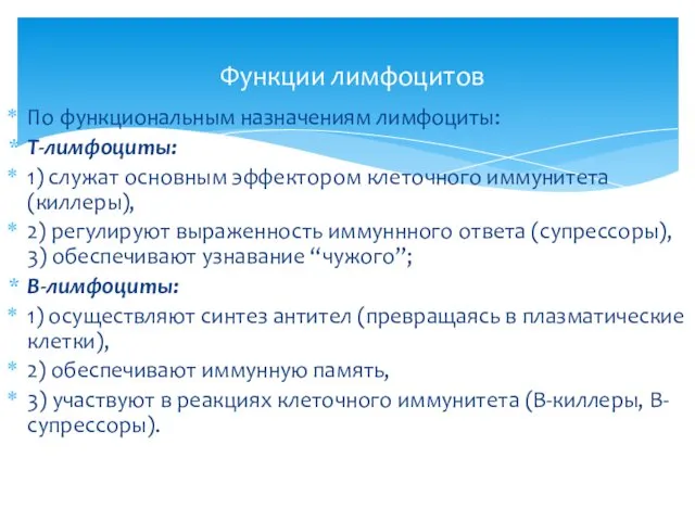 По функциональным назначениям лимфоциты: Т-лимфоциты: 1) служат основным эффектором клеточного иммунитета