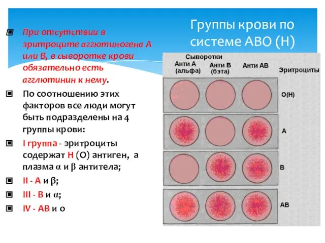 Группы крови по системе АВО (Н) При отсутствии в эритроците аггютиногена