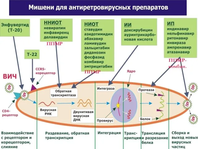 ППМР ППМР ППМР- комбин.