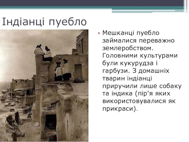 Індіанці пуебло Мешканці пуебло займалися переважно землеробством. Головними культурами були кукурудза