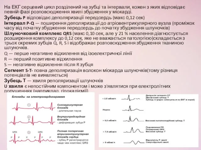 На ЕКГ серцевий цикл розділений на зубці та інтервали, кожен з