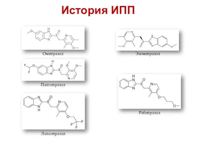 История ИПП