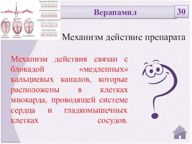 Механизм действие препарата Верапамил 30 Механизм действия связан с блокадой «медленных»