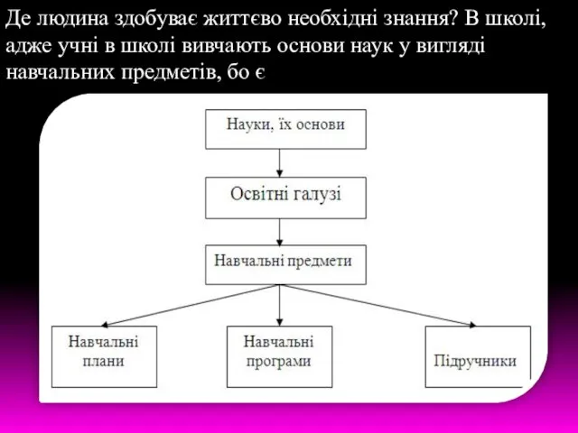 Де людина здобуває життєво необхідні знання? В школі, адже учні в