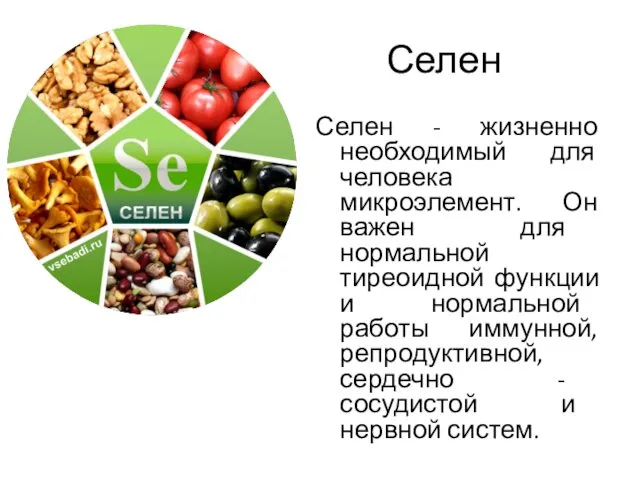 Селен Селен - жизненно необходимый для человека микроэлемент. Он важен для