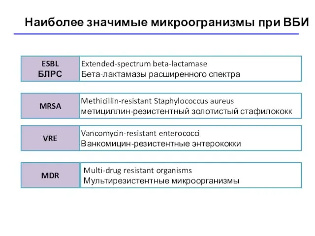 Наиболее значимые микроогранизмы при ВБИ Extended-spectrum beta-lactamase Бета-лактамазы расширенного спектра ESBL