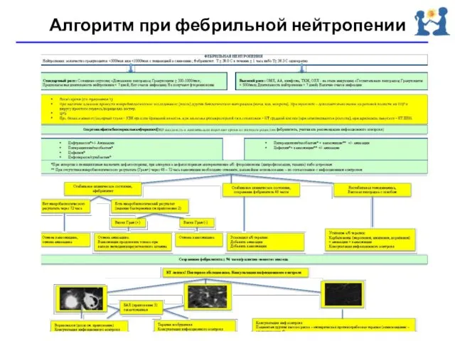 Алгоритм при фебрильной нейтропении