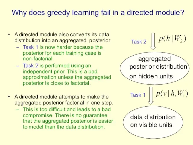 Why does greedy learning fail in a directed module? A directed