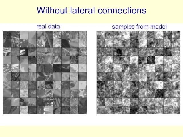 Without lateral connections real data samples from model