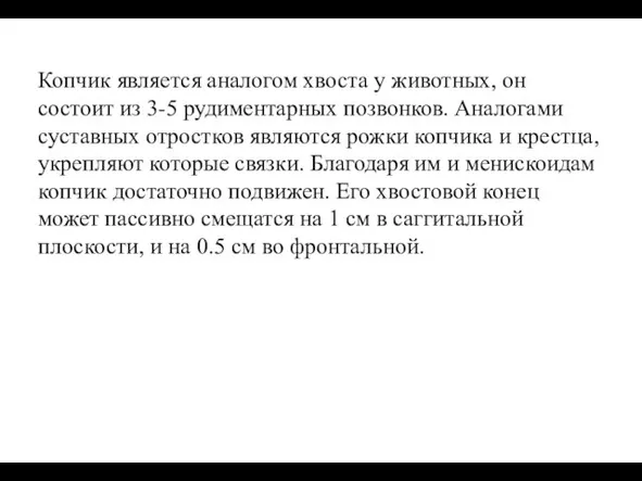 Копчик является аналогом хвоста у животных, он состоит из 3-5 рудиментарных