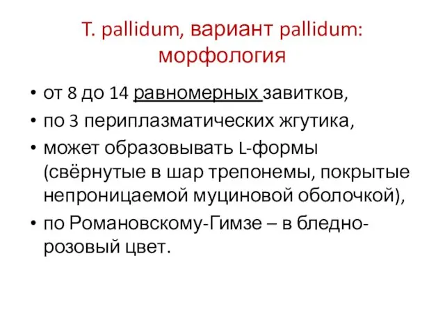 T. pallidum, вариант pallidum: морфология от 8 до 14 равномерных завитков,