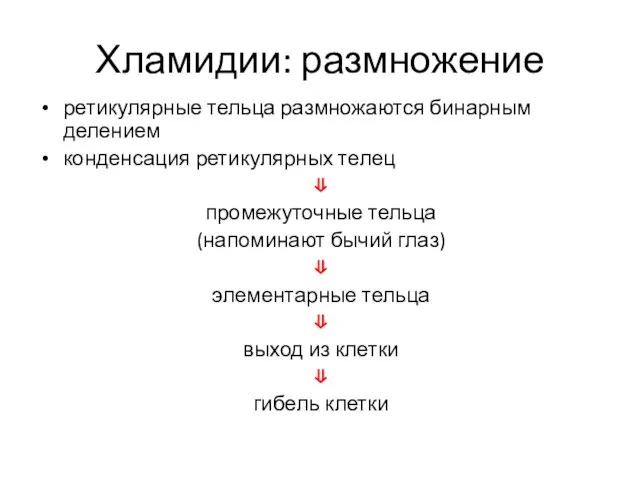 Хламидии: размножение ретикулярные тельца размножаются бинарным делением конденсация ретикулярных телец ⇓