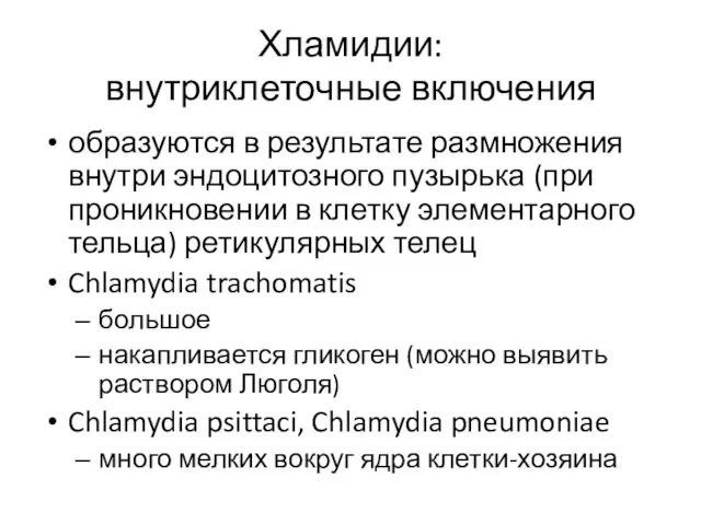 Хламидии: внутриклеточные включения образуются в результате размножения внутри эндоцитозного пузырька (при