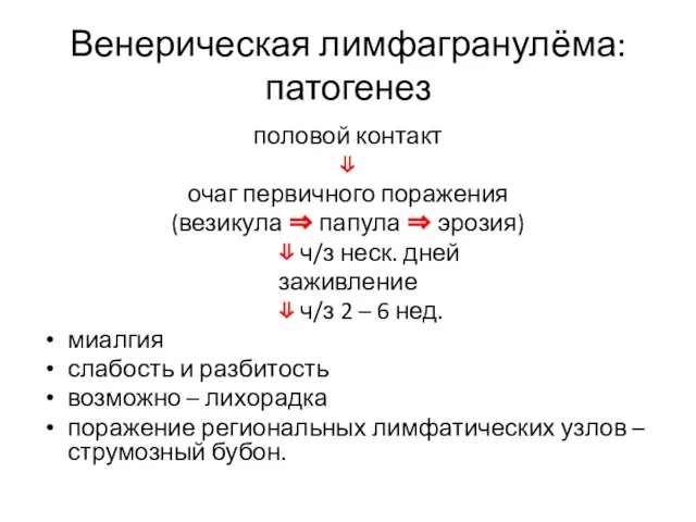 Венерическая лимфагранулёма: патогенез половой контакт ⇓ очаг первичного поражения (везикула ⇒