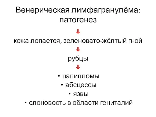 Венерическая лимфагранулёма: патогенез ⇓ кожа лопается, зеленовато-жёлтый гной ⇓ рубцы ⇓