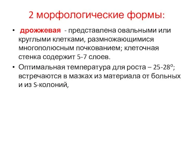 2 морфологические формы: дрожжевая - представлена овальными или круглыми клетками, размножающимися