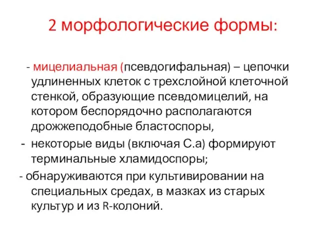 2 морфологические формы: - мицелиальная (псевдогифальная) – цепочки удлиненных клеток с