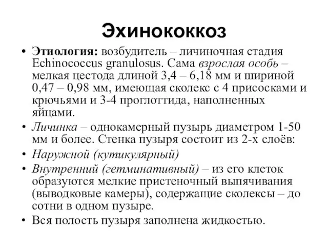 Эхинококкоз Этиология: возбудитель – личиночная стадия Echinococcus granulosus. Сама взрослая особь