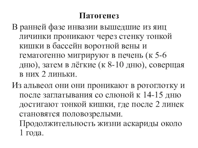 Патогенез В ранней фазе инвазии вышедшие из яиц личинки проникают через