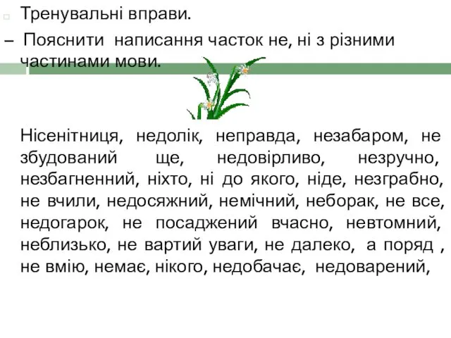 Тренувальні вправи. – Пояснити написання часток не, ні з різними частинами