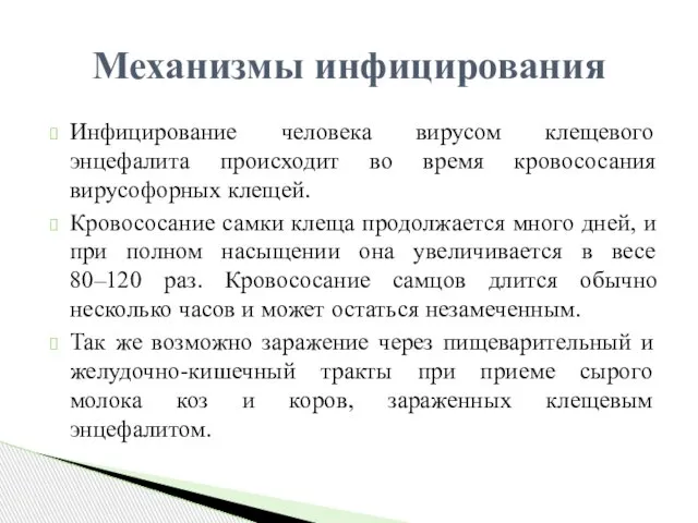 Инфицирование человека вирусом клещевого энцефалита происходит во время кровососания вирусофорных клещей.