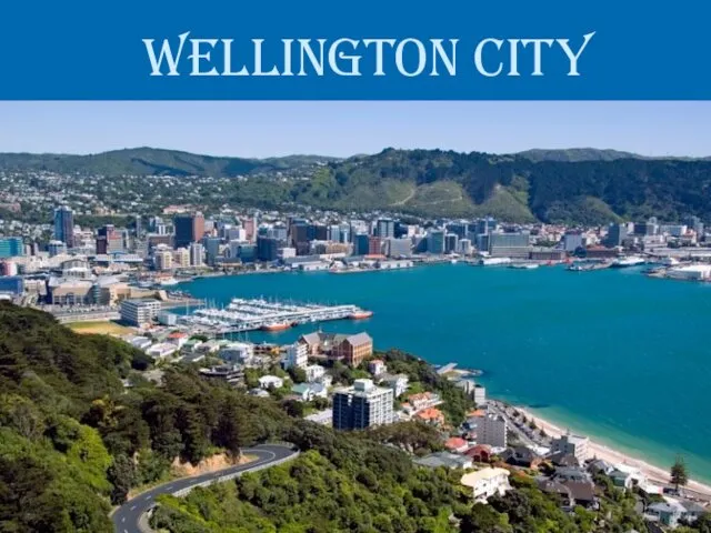 Wellington City