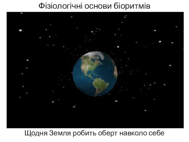 Фізіологічні основи біоритмів Щодня Земля робить оберт навколо себе